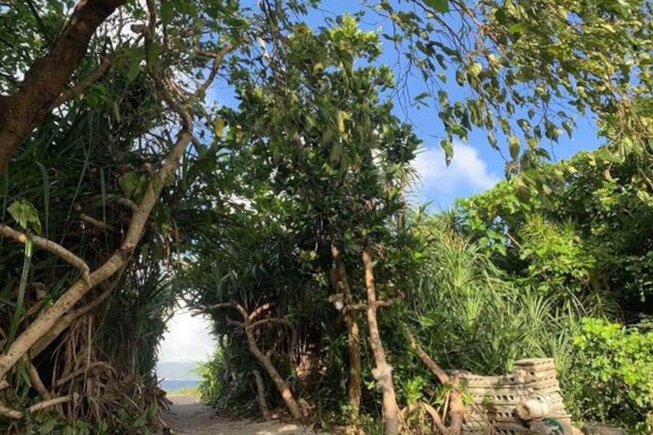 הוילה נאגו Mizu House Yagaji B016 מראה חיצוני תמונה